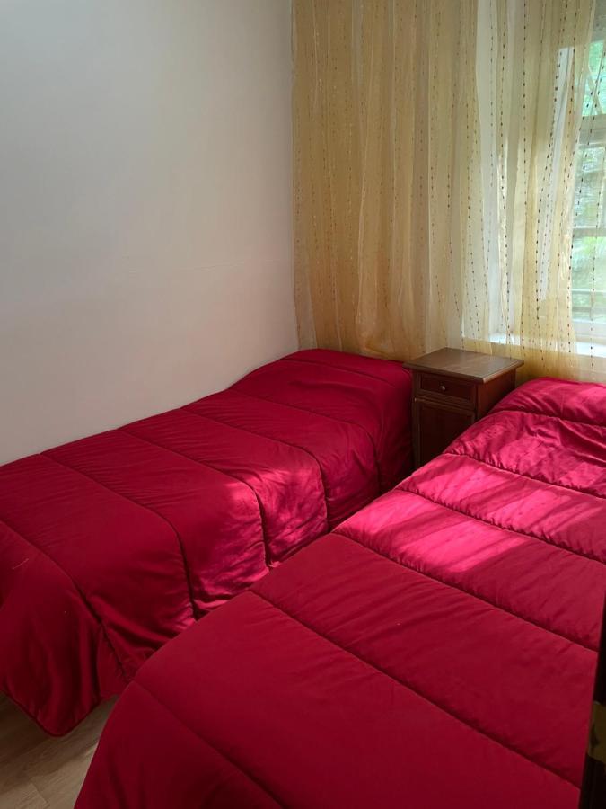 Hostal El Nuevo Salau 库迪列罗 外观 照片